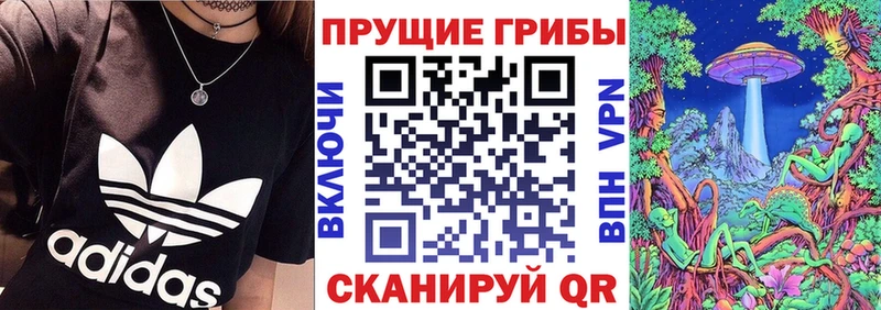 hydra рабочий сайт  Псков  Галлюциногенные грибы Cubensis 