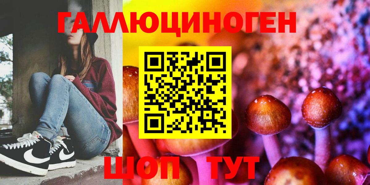 Псилоцибиновые грибы Psilocybe  Вход с VPN  Псков  где можно купить наркотик  Галлюциногенные грибы MAGIC MUSHROOMS 