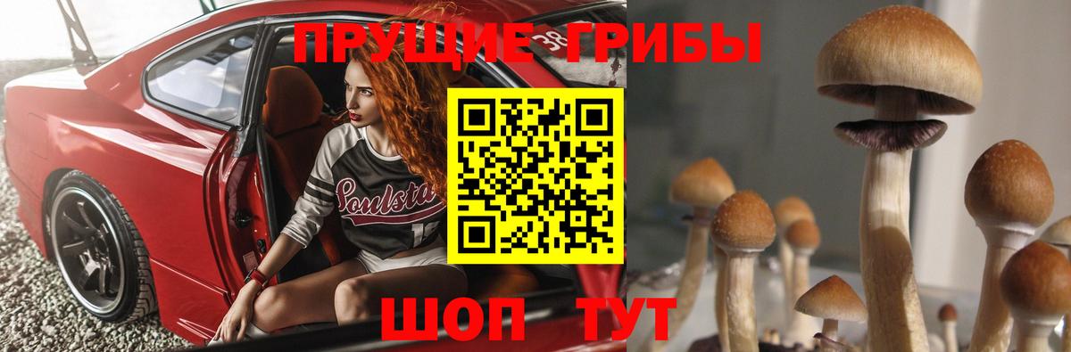 Псилоцибиновые грибы прущие грибы Псков
