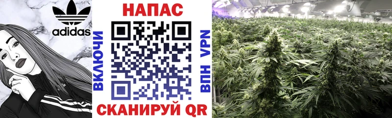 Каннабис THC 21%  Псков 